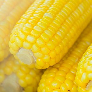 Pic of Corn