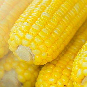 Pic of Corn