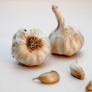 Pic of Garlic Powder